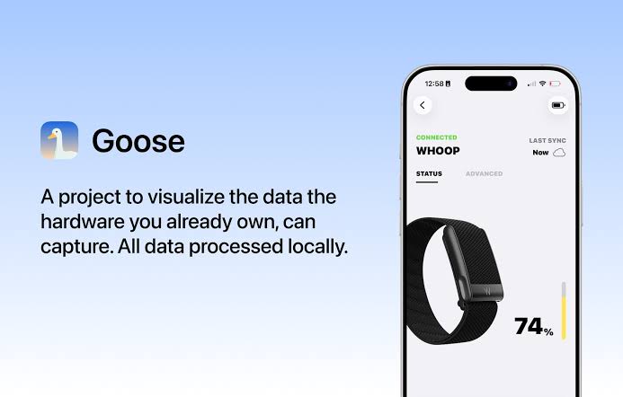 Cette Application Vous Permet d'Utiliser Votre Bracelet Whoop Sans Payer d'Abonnement