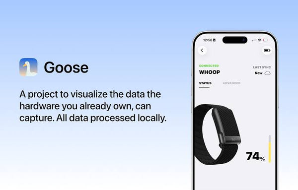 Cette Application Vous Permet d'Utiliser Votre Bracelet Whoop Sans Payer d'Abonnement