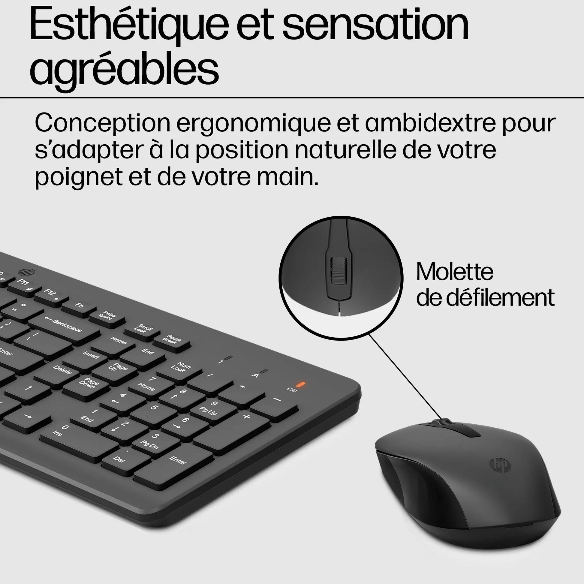 COMBINAISON SOURIS ET CLAVIER SANS FIL HP 330 (2V9E6AA) Hewlett Packard