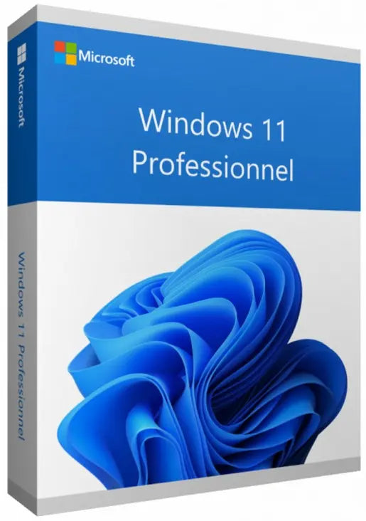 Microsoft Windows 11 Professionnel 64 bits Français (Licence originale + DVD) (FQC-10532) MICROSOFT