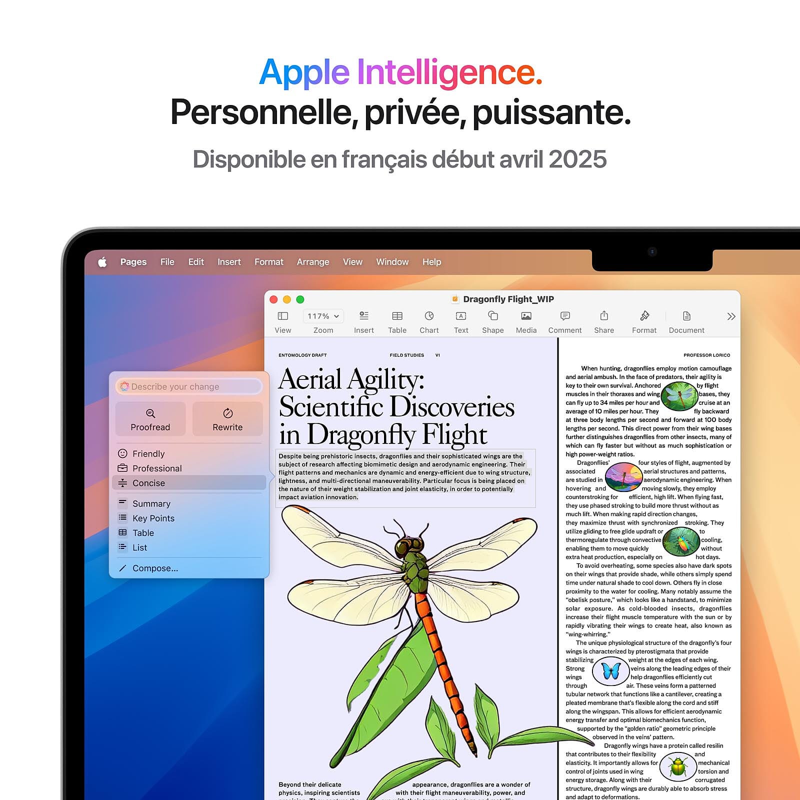 Apple Macbook Air M4 15 Pouces 2025 Argent 16Go 512 Go Mw1H3Fn A — Apple au Maroc | Connecto.ma