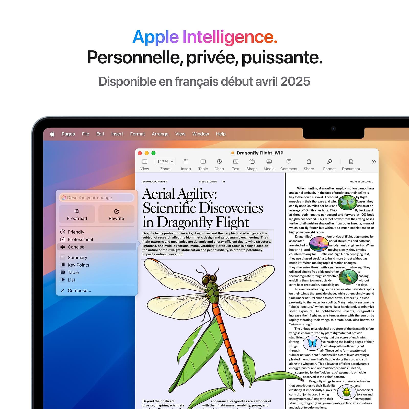 Apple Macbook Air M4 15 Pouces 2025 Bleu Ciel 24Go 512 Go Mc7D4Fn A — Apple au Maroc | Connecto.ma