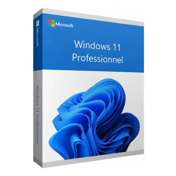 Microsoft Windows 11 Professionnel 64 bits Français (Licence originale + DVD) (FQC-10532) MICROSOFT