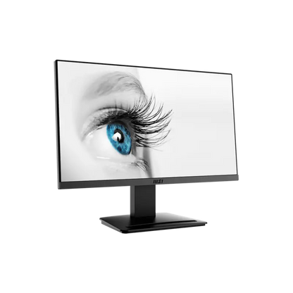 Écran MSI  FUL HD PRO 21.5 (MP223-E2) Taille de l'écran 22"
